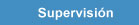 Supervision de Proyectos Industriales